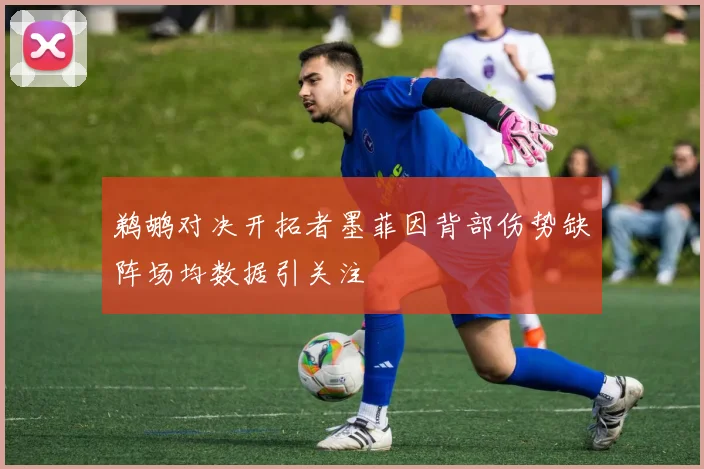 鹈鹕对决开拓者墨菲因背部伤势缺阵场均数据引关注