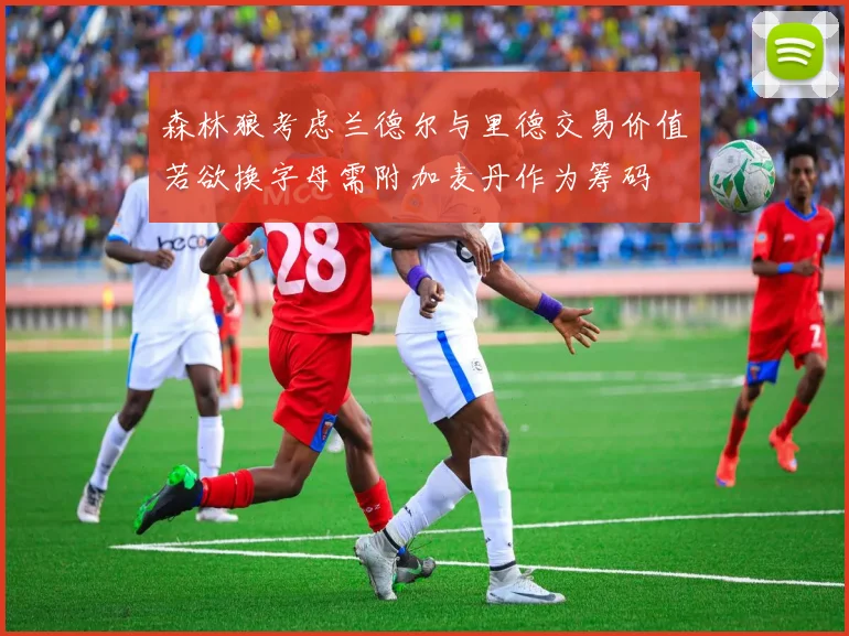 森林狼考虑兰德尔与里德交易价值若欲换字母需附加麦丹作为筹码