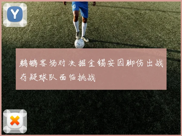 鹈鹕客场对决掘金锡安因脚伤出战存疑球队面临挑战