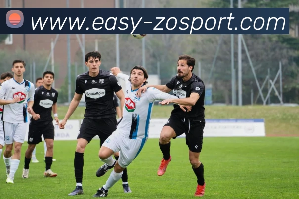 中欧体育平台生态图