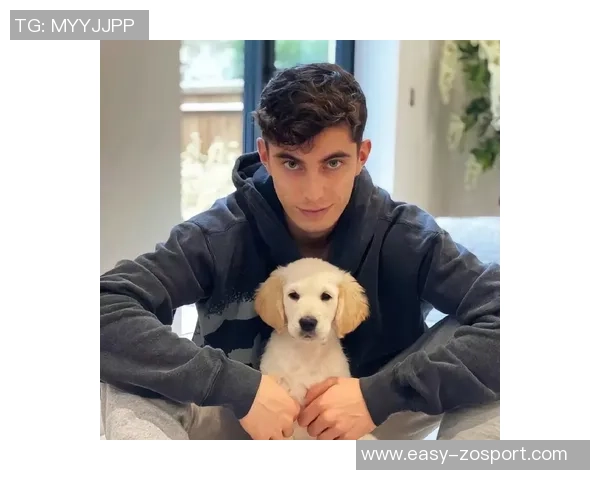 哈弗茨积极恢复训练分享康复进展与日常生活点滴